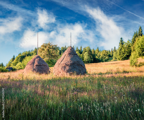 Picturesque morning scene of Rogojel village. Picturesque summer landscape of Cluj County, Romania, Europe. Beauty of countryside concept background. photo