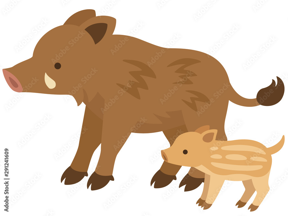 並んで立つイノシシの親子のイラスト Stock Vector Adobe Stock