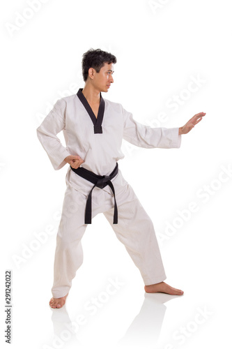 Karateka fighting stance side view figure full length