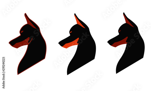 Doberman
