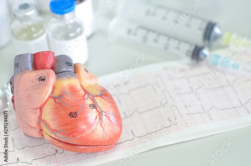 Foto human heart anatomy model with EKG
