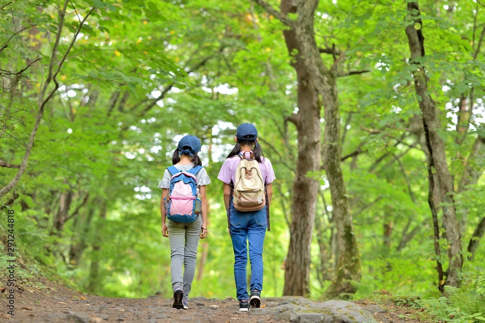 緑の森を歩く二人 緑の森を歩く二人