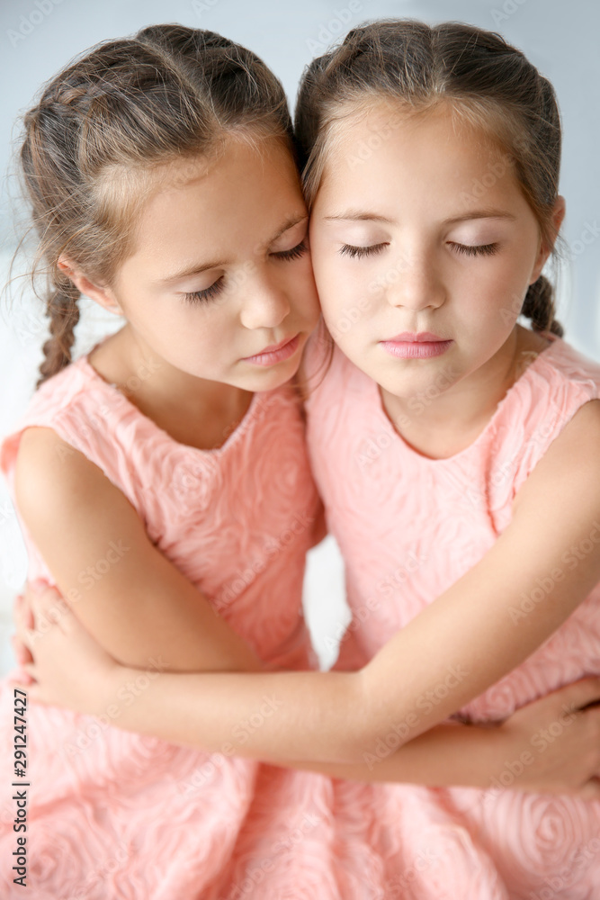 Portrait of cute twin girls on light background Portrait of cute twin girls on light background