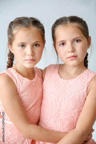 Portrait of cute twin girls...