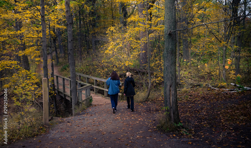 Beautiful fall autumn landscape near Toronto Canada Beautiful fall autumn landscape near Toronto Canada