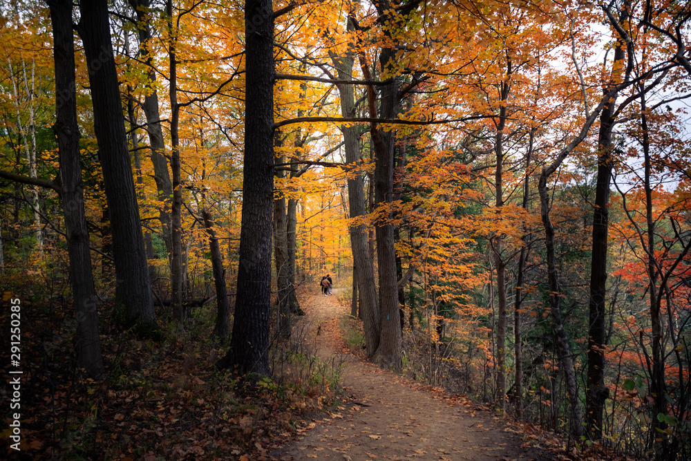 Beautiful fall autumn landscape  near Toronto Canada