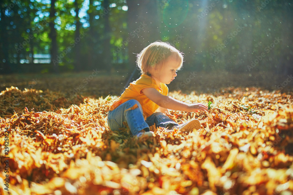 Adorable toddler girl sitting on the ground in large heap of fallen leaves - obrazy, fototapety, plakaty 