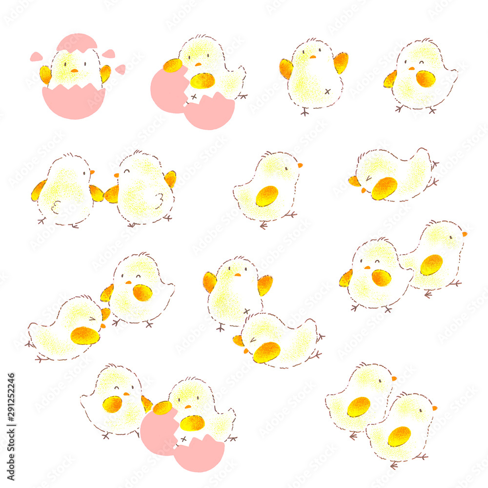 Fototapeta premium Freehand drawing illustration material of a pretty chicken,