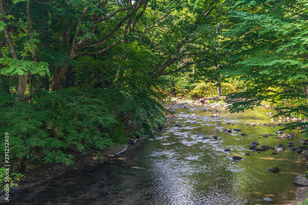 Towada Hachimantai National Park in early autumn Towada Hachimantai National Park in early autumn