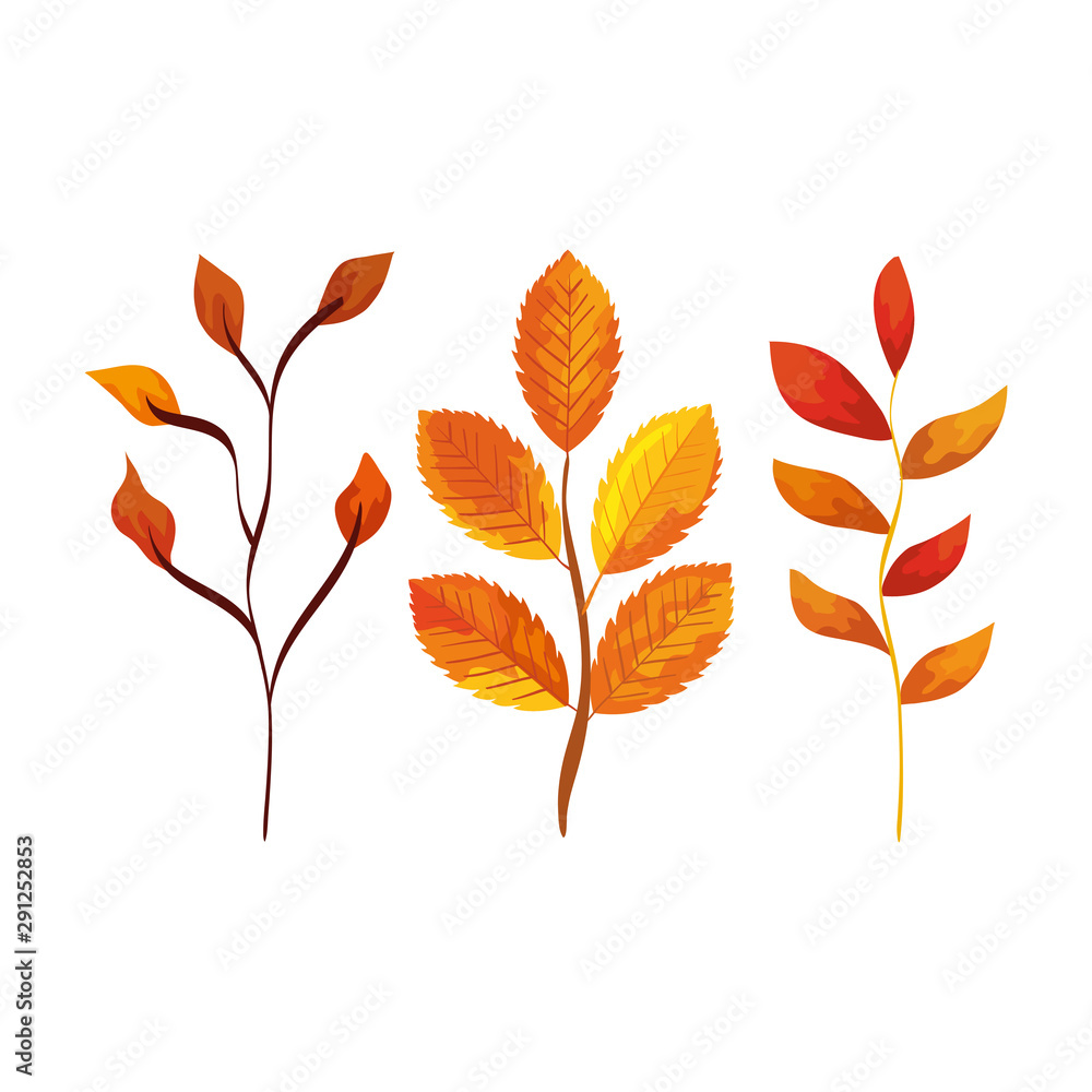 season autumn branches with leafs season autumn branches with leafs