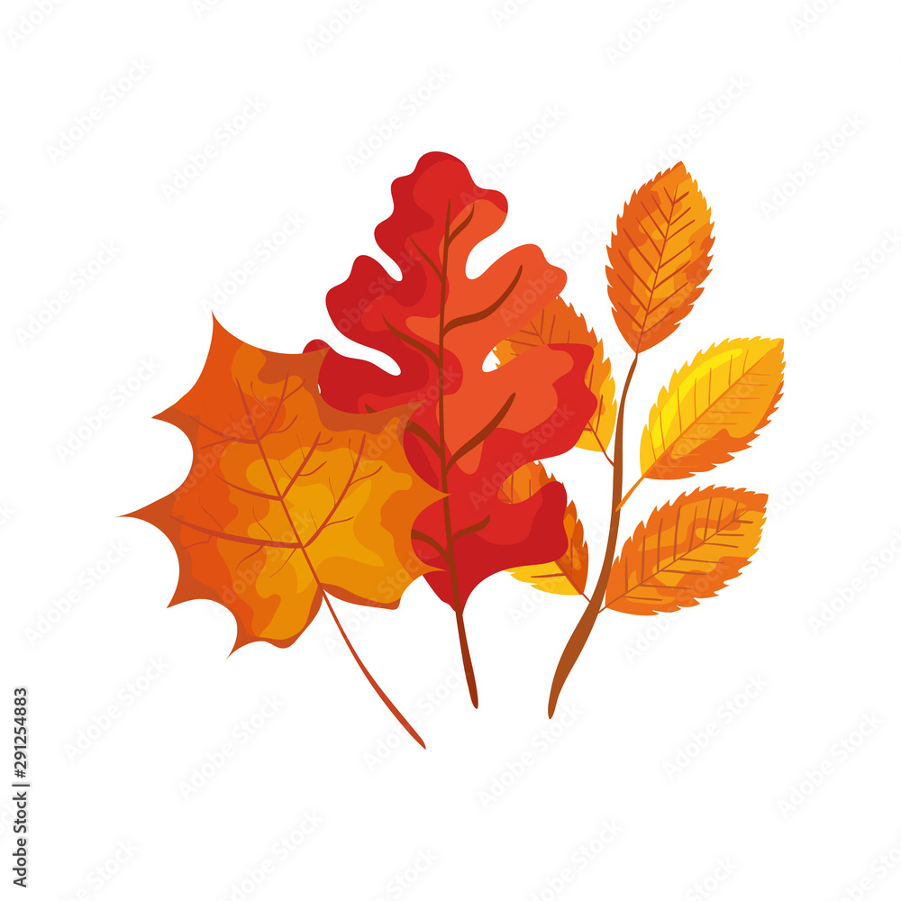Obraz premium season autumn branch with leafs