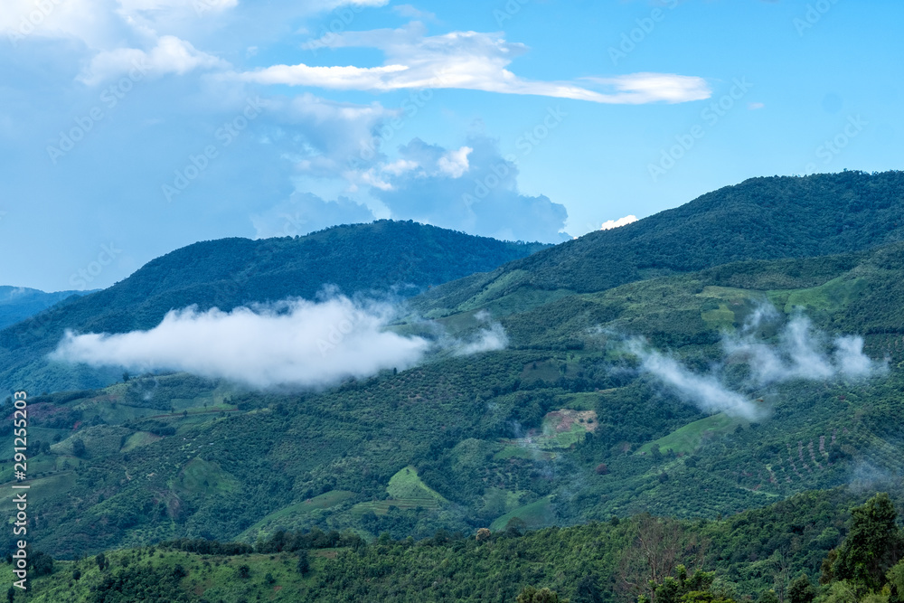 Beautiful mountain and agriculture field landscape