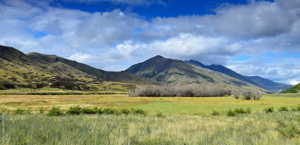 Landscape in New Zealand - dry bushes in front of the mountains. Molesworth station, South Island.
