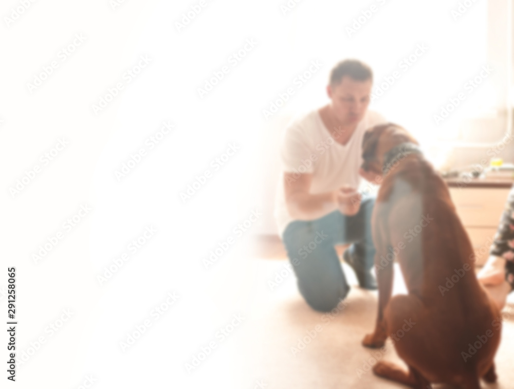 young man and his pet dog in a modern city apartment. background for text in blur with copy space