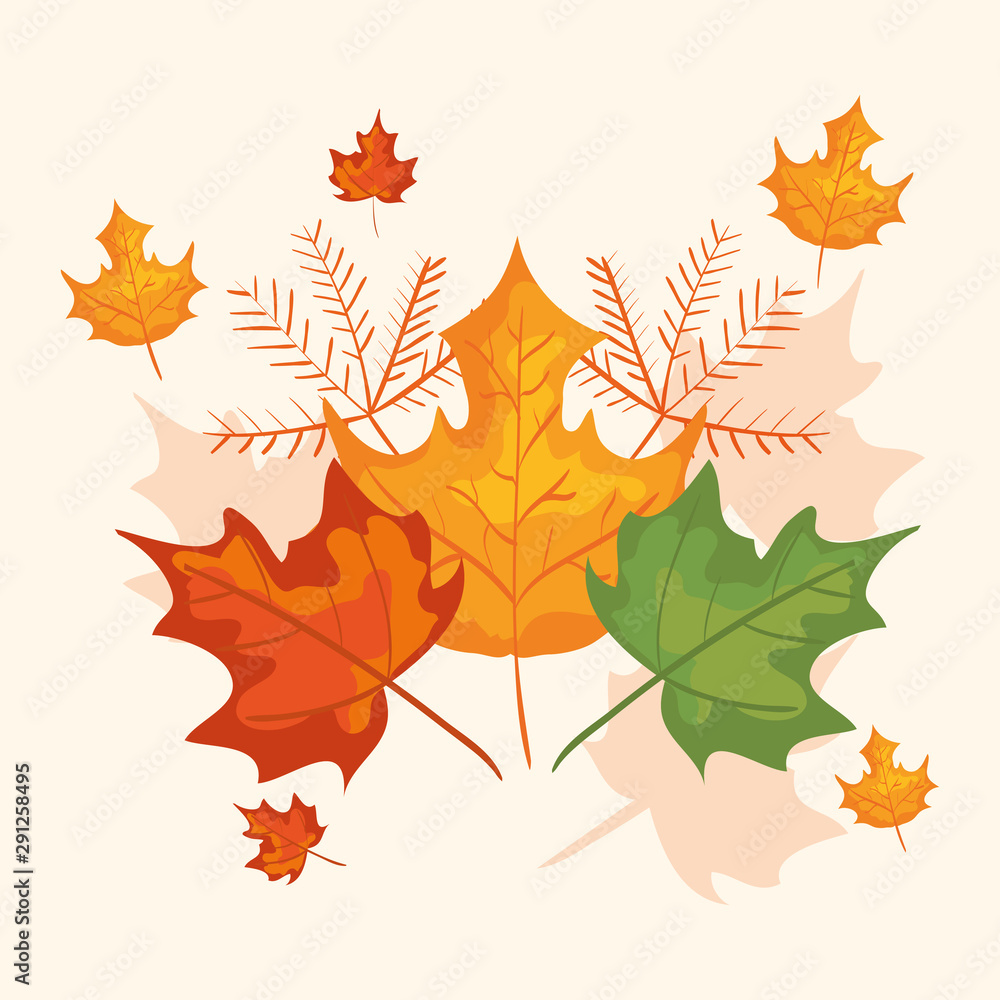 branches with leafs of autumn branches with leafs of autumn