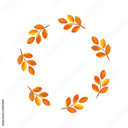 frame circular of autumn branches with leafs
