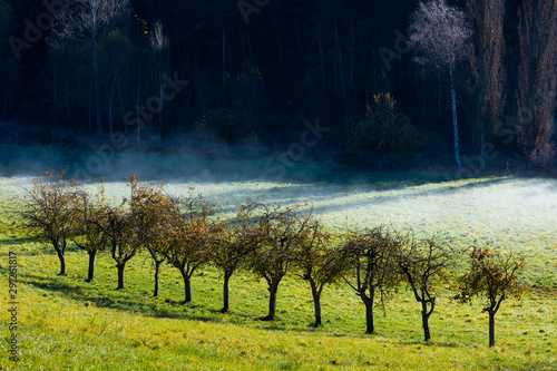 Cadi-Moixero Natural Park, Vansa i Fornols Valley, Alt Urgell, Lleida, Catalunya, Spain photo