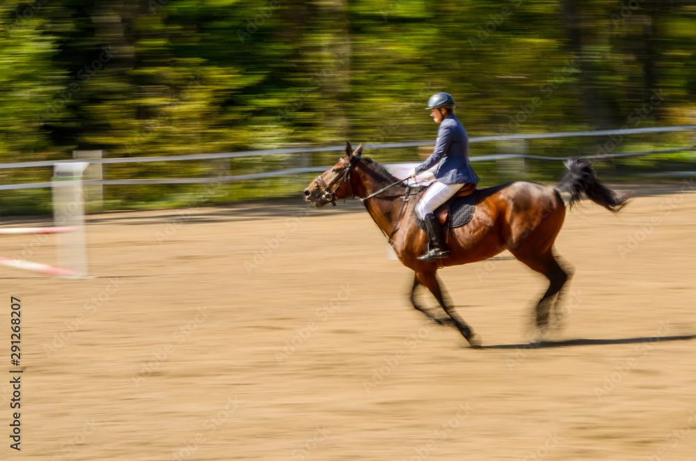 A competitor in a show jumping class gets ready for a jump A competitor in a show jumping class gets ready for a jump