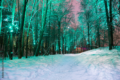 Christmas (New Year holidays) decoration in Moscow (at night), Russia-- Sparrow Hills (Vorobyovy Gory) photo