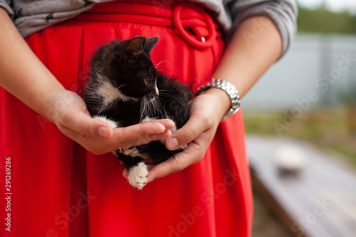 Black and white kitten in the arms of a woman in a red skirt photo