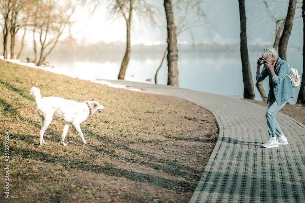Φωτογραφία Old lady shooting a photo of the doggy outdoor