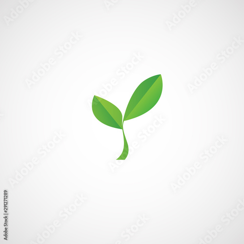 Green sprout in the vector.