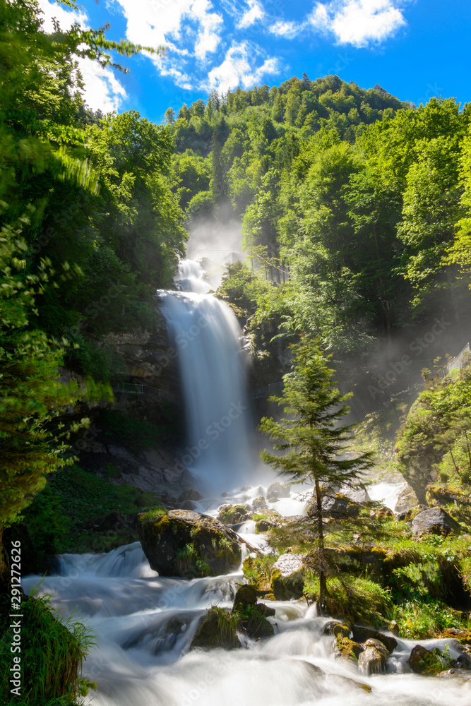 Forrest with Waterfall Forrest with Waterfall