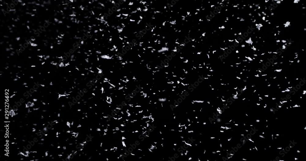 Falling real snowflakes, heavy snow, shot on a black background, frosted, wide-angle, insulated, ideal for digital composition, post-production Falling real snowflakes, heavy snow, shot on a black background, frosted, wide-angle, insulated, ideal for digital composition, post-production