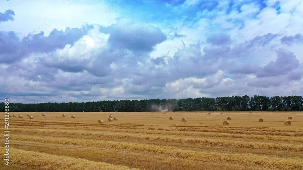 Low flight over the yellow field with round bales in summer agricultural works. Pressed bales of hay for livestock on the field under cloudy sky. Motion camera forward. Low flight over the yellow field with round bales in summer agricultural works. Pressed bales of hay for livestock on the field under cloudy sky. Motion camera forward.
