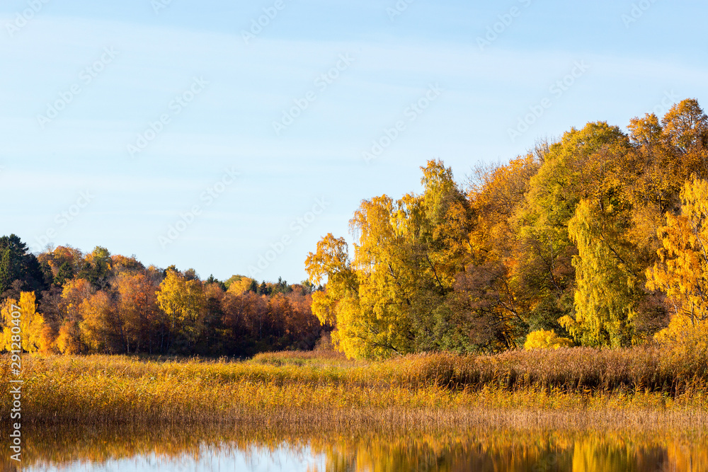 Idyllic lake landscape with fall colors in the woods