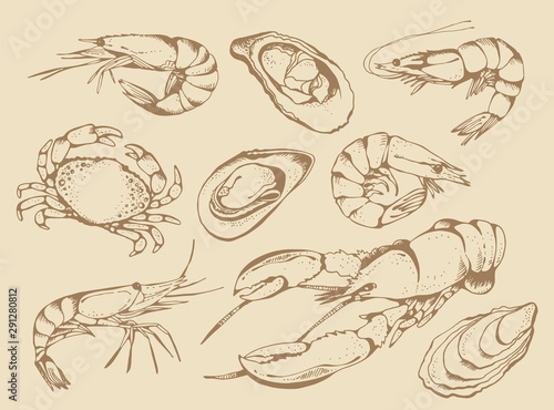Seafood vector set, food vector collection in sketch style isolated on beige background: lobster, crab, shrimps, oysters, mussels