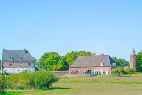 Dutch grass meadow in Ooij