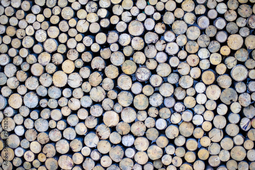 Circle wood texture background.