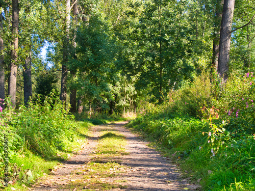 Landschaft Siegaue bei Bonn  