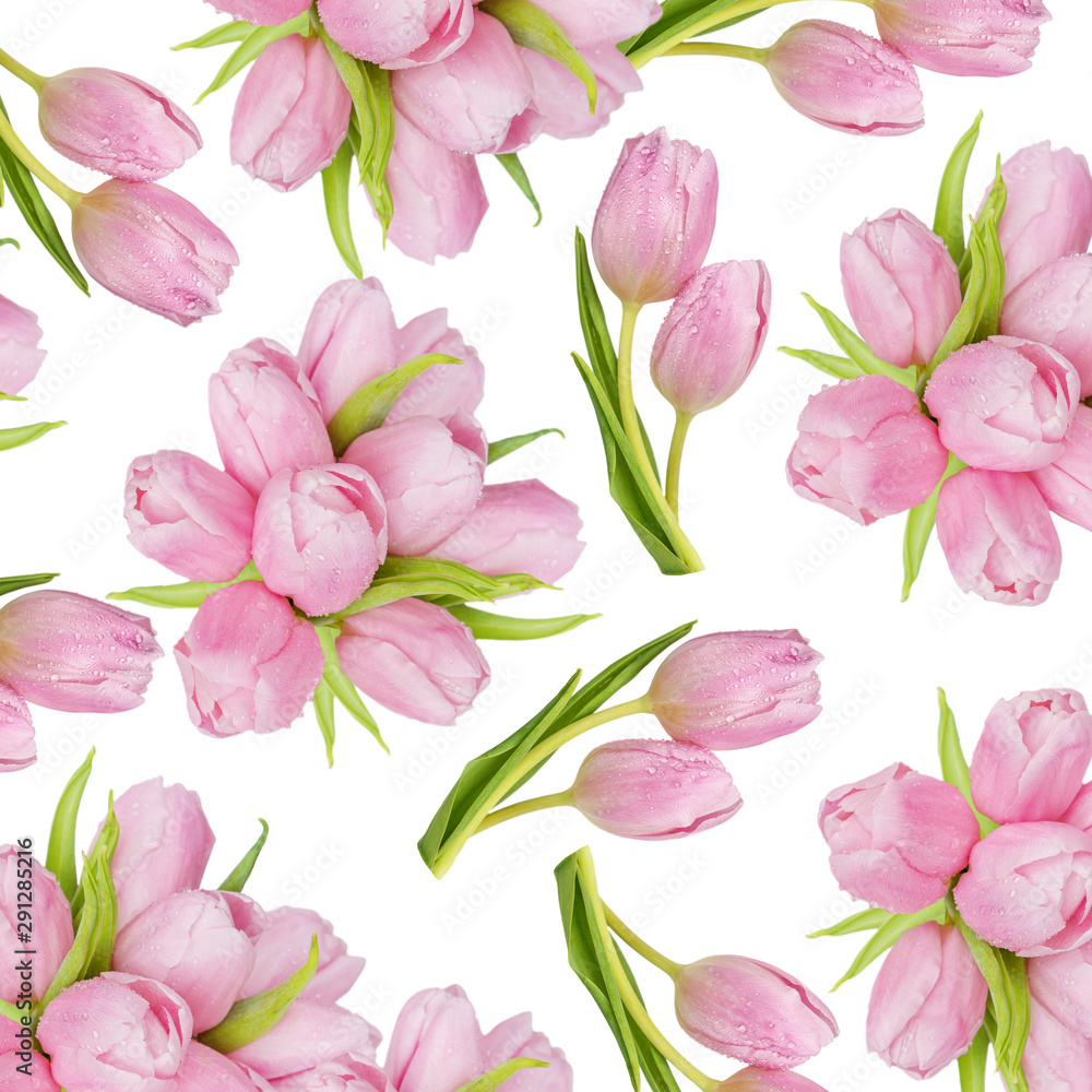 Tulips flowers on white background as seamless pattern