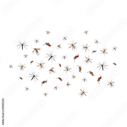 Cartoon Color Different Mosquito Flock Icon Set. Vector