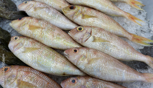 fish on ice at Supermarket and department store, Ingredients for cooking, food concept.