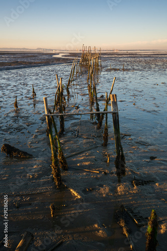 Carrasqueira Palafitic Pier in Comporta  Portugal at sunset
