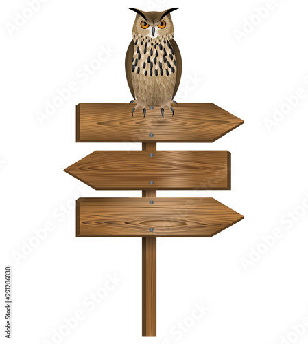owl over wooden sign vector