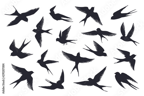 Flying birds silhouette. Flock of swallows, sea gull or marine birds isolated on white background. Vector set illustration of different steps free fly silhouettes feather wings bird
