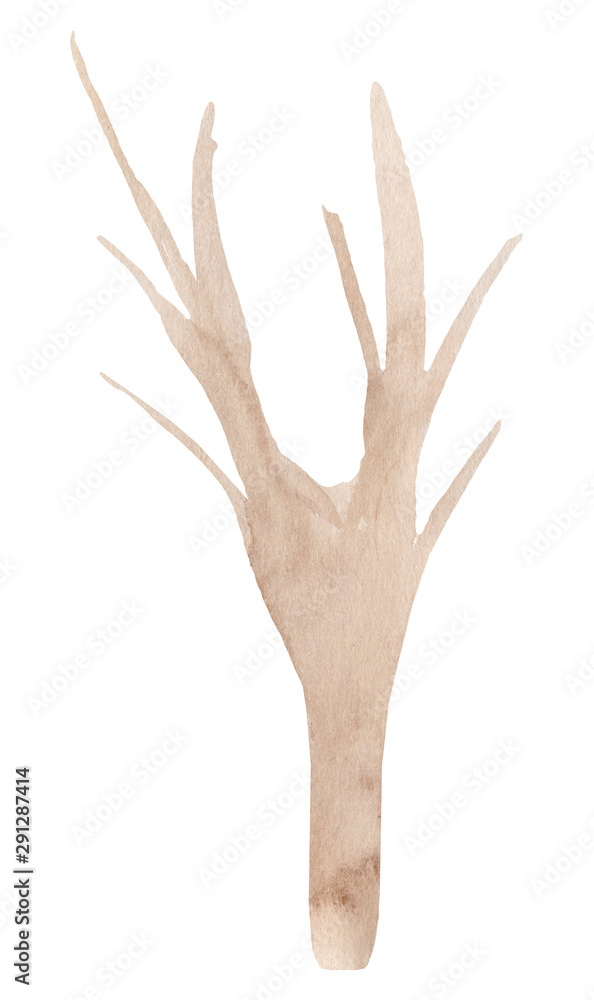 Hand painted watercolor spruce tree. Isolated on white background. Hand drawn winter illustration. Hand painted watercolor spruce tree. Isolated on white background. Hand drawn winter illustration.