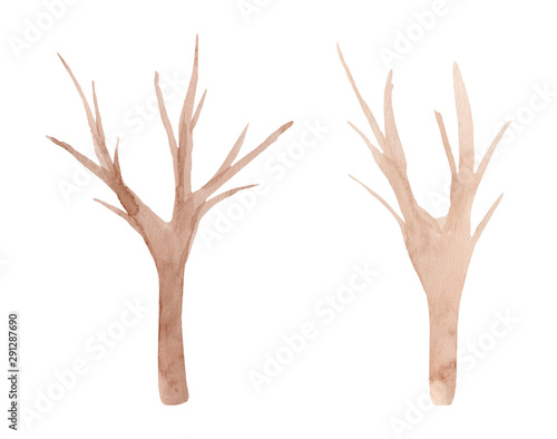 Hand painted watercolor spruce tree. Isolated on white background. Hand drawn winter illustration.