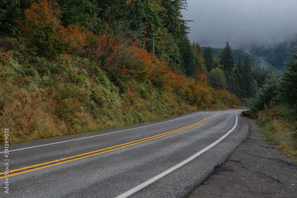 Fototapeta premium Fall Forest Road