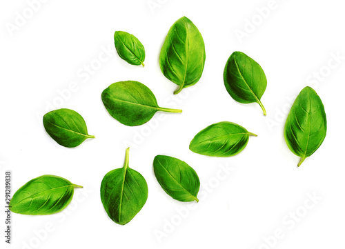 Flying Fresh basil herb leaves isolated on white background. Top view. Flat lay.