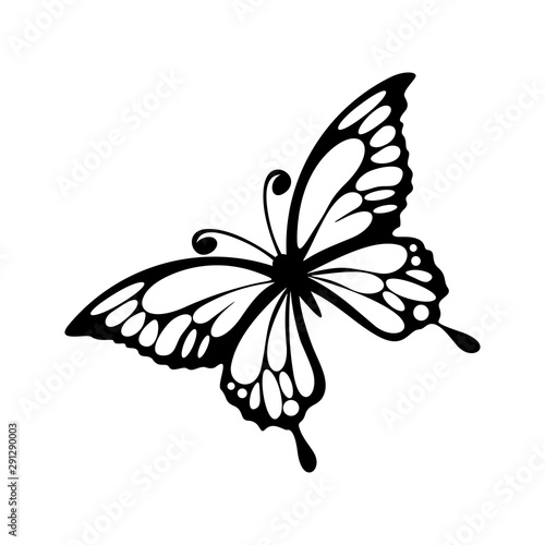 Butterfly logo design vector. Butterfly logo template illustration