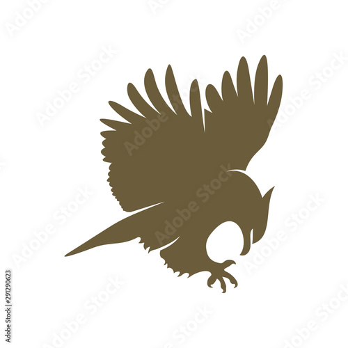Eagle logo design vector. Eagle logo template illustration