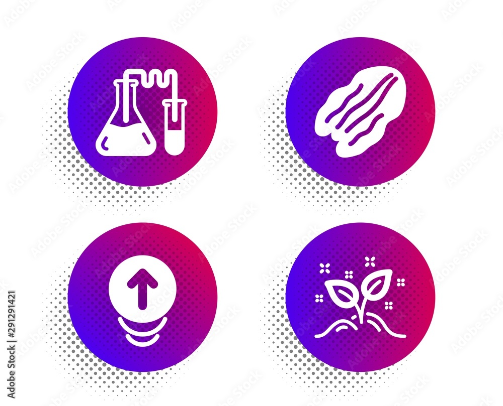 Chemistry lab, Pecan nut and Swipe up icons simple set. Halftone dots button. Startup concept sign. Medical laboratory, Vegetarian food, Scrolling page. Launch project. Business set. Vector Chemistry lab, Pecan nut and Swipe up icons simple set. Halftone dots button. Startup concept sign. Medical laboratory, Vegetarian food, Scrolling page. Launch project. Business set. Vector