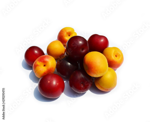 orange apricots and dark red plums isolated on white