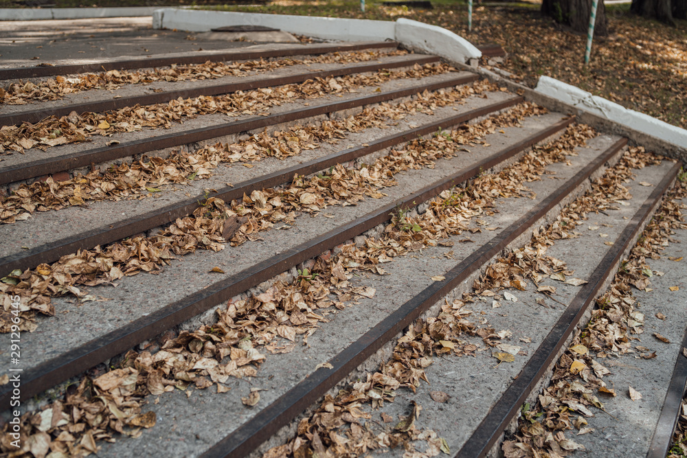 Naklejka premium Stairs with autumn leaves. Stairs in the fall with leaves. Autumn in the park
