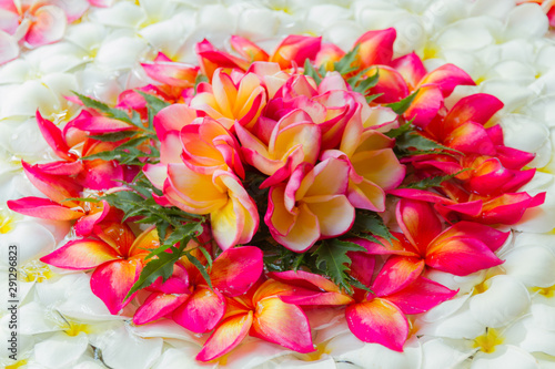 Wedding Flower arrangement © Freely